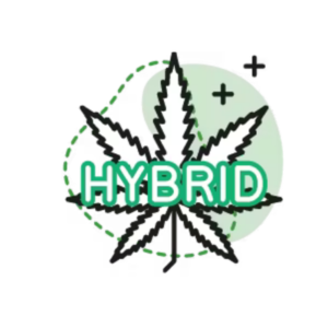 Hybrid