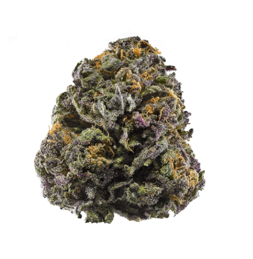 Buy Granddaddy Purple Weed in Dubai